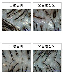 모클락 이미지