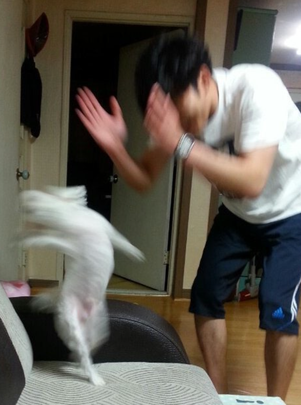 프린트하우스 이미지