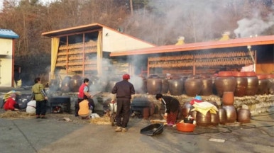 리메주 이미지