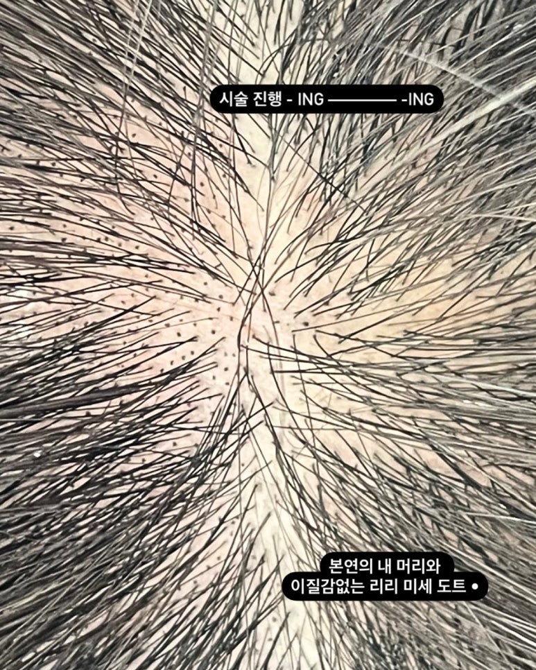 리리스튜디오 이미지