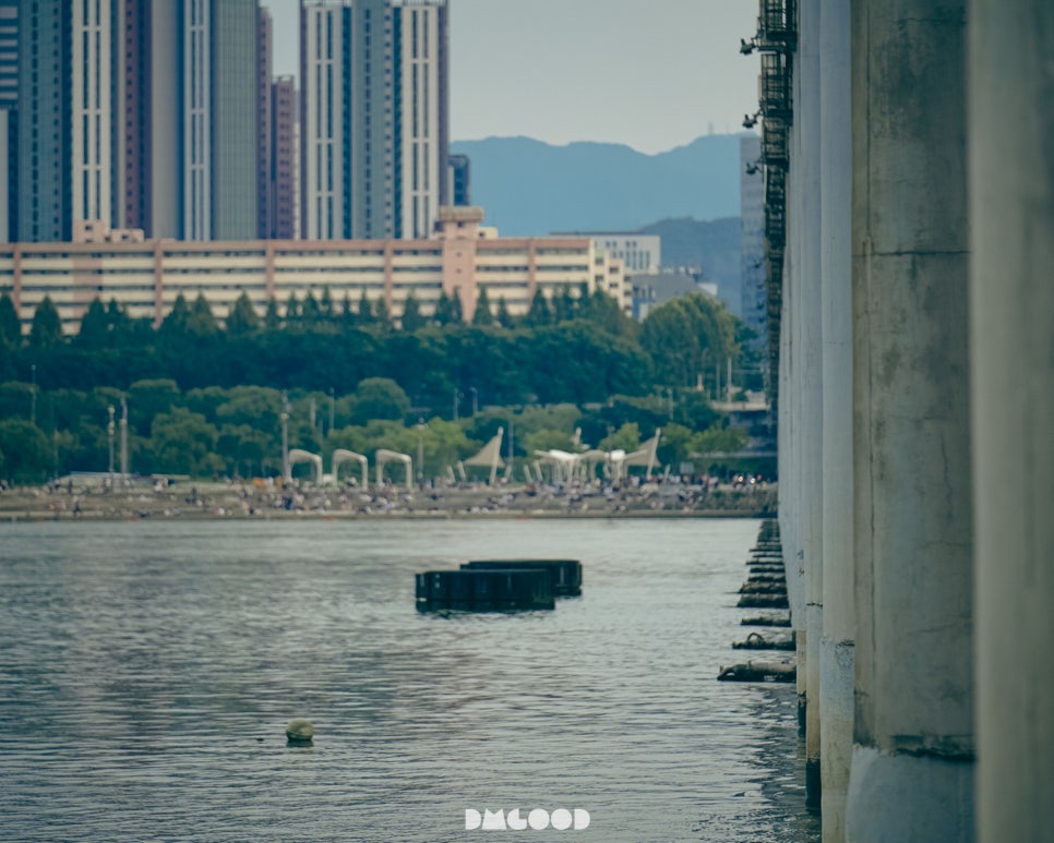디엠굿스튜디오 이미지