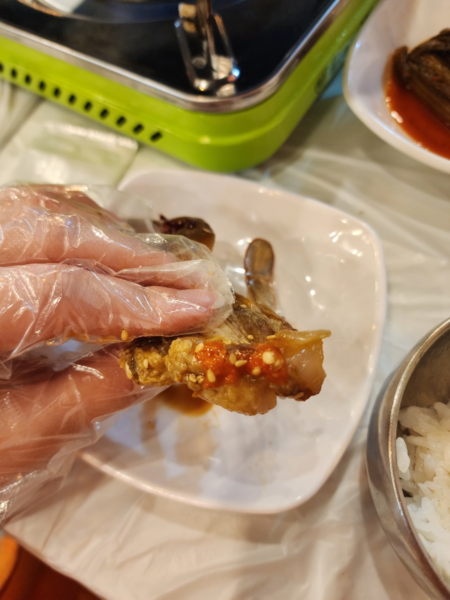 금바우 이미지
