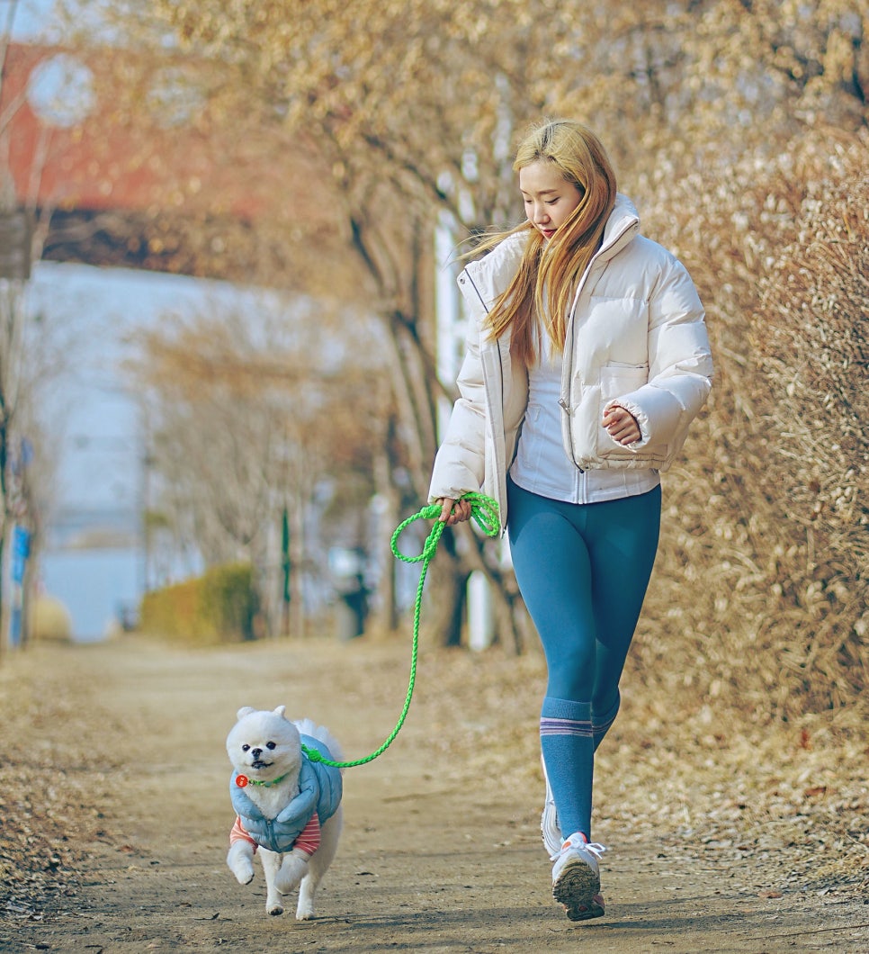 디엠굿스튜디오 이미지