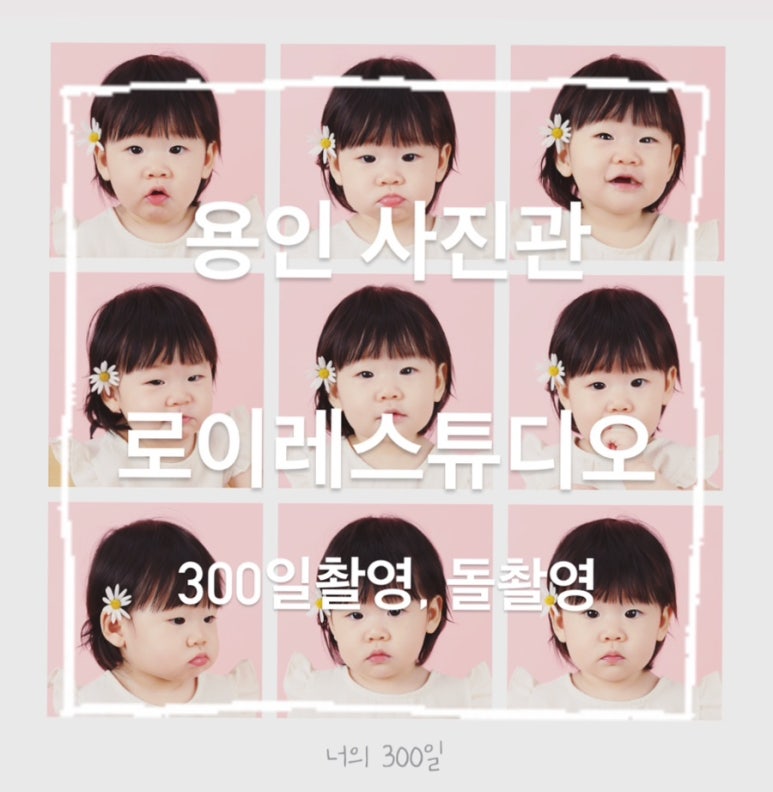 로이레스튜디오 이미지