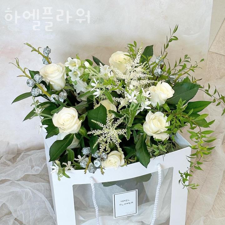 하엘 이미지