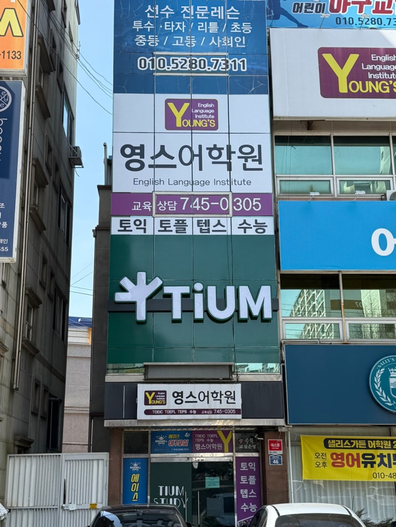티움스터디 이미지