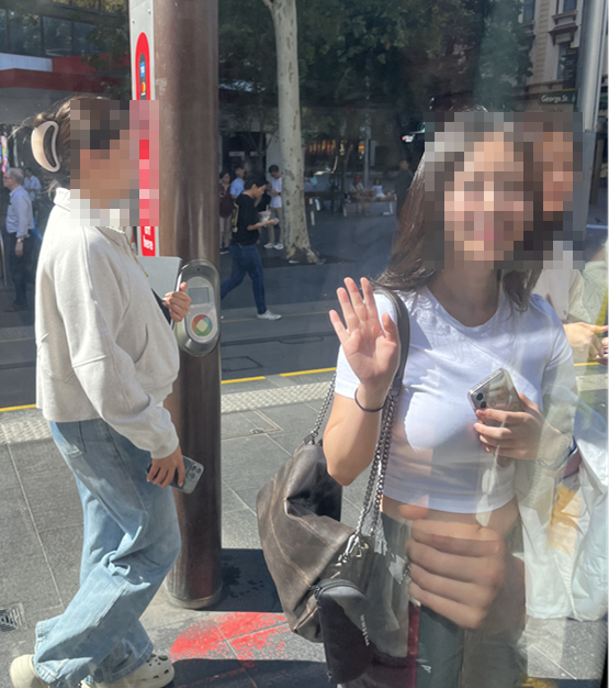 365일 이미지