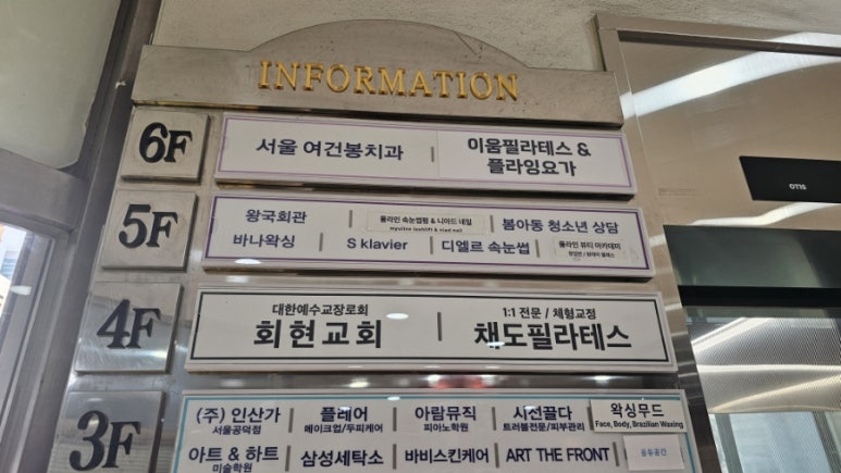 뮬라인 이미지