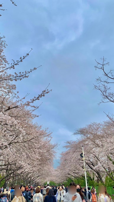 경화찻집 이미지