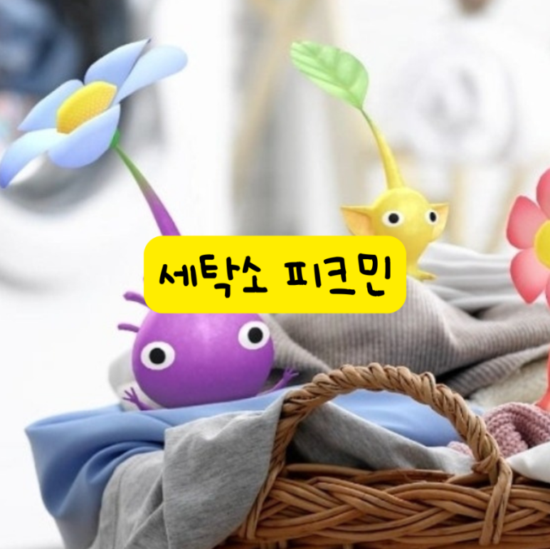 새로운세탁소 이미지