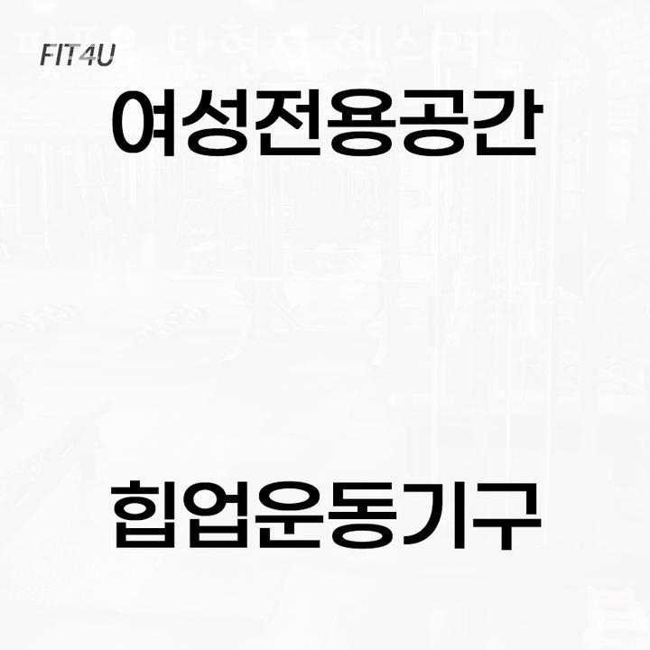 핏포유 이미지