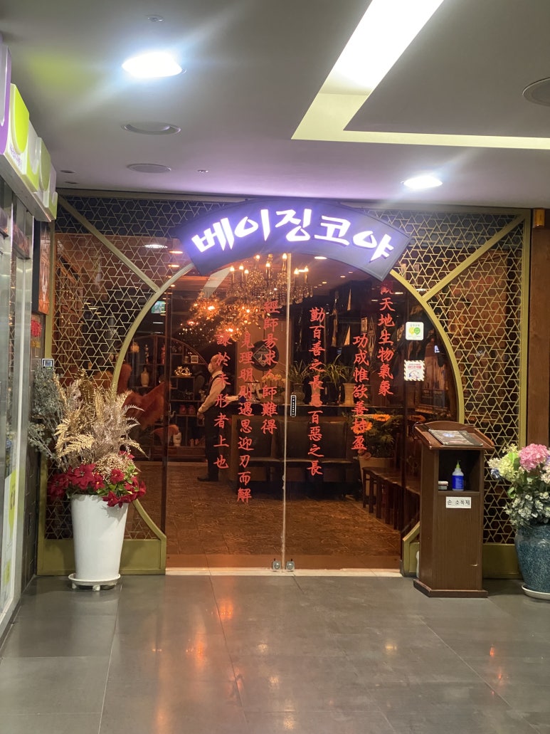 베이징코야주 이미지