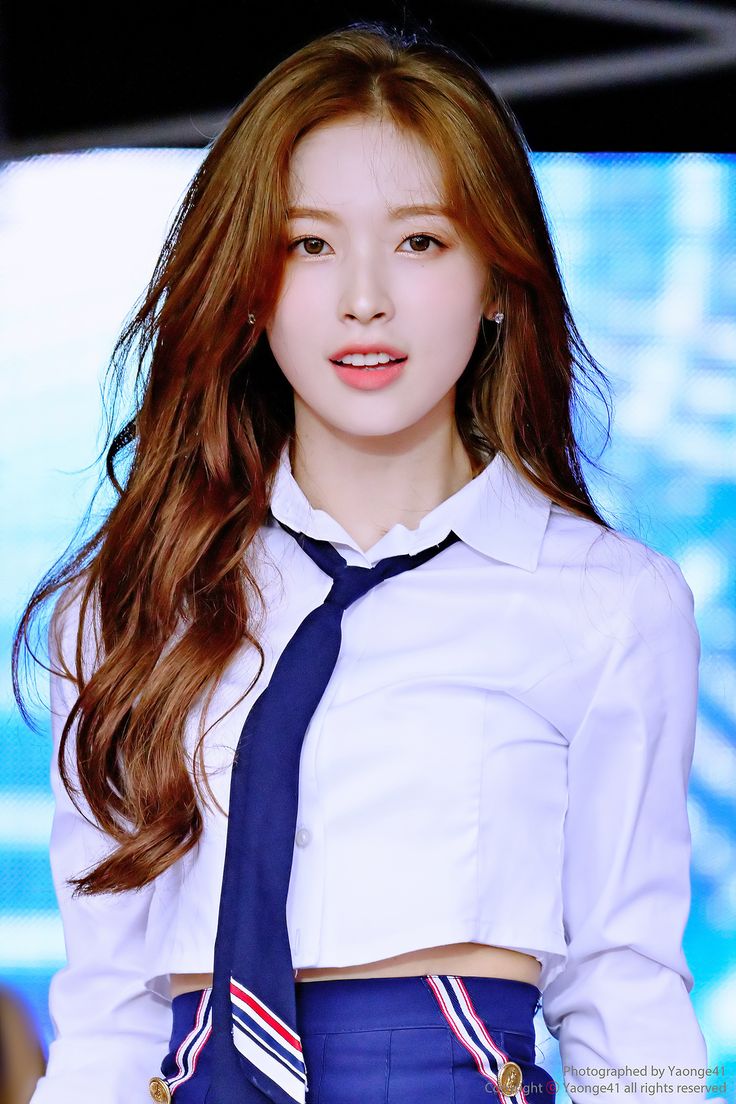 아린헤어 이미지