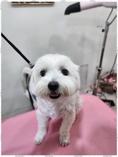 오늘도예쁘게 이미지