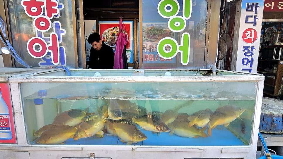 용산강횟집 이미지
