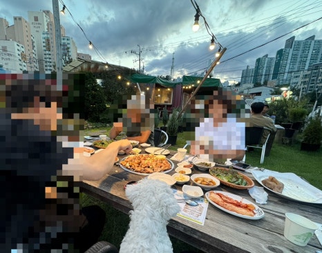 해뜨루 이미지