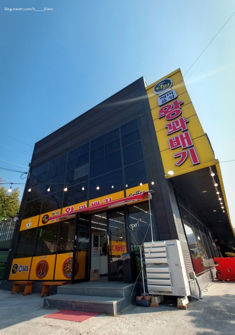 꽈배기정 이미지