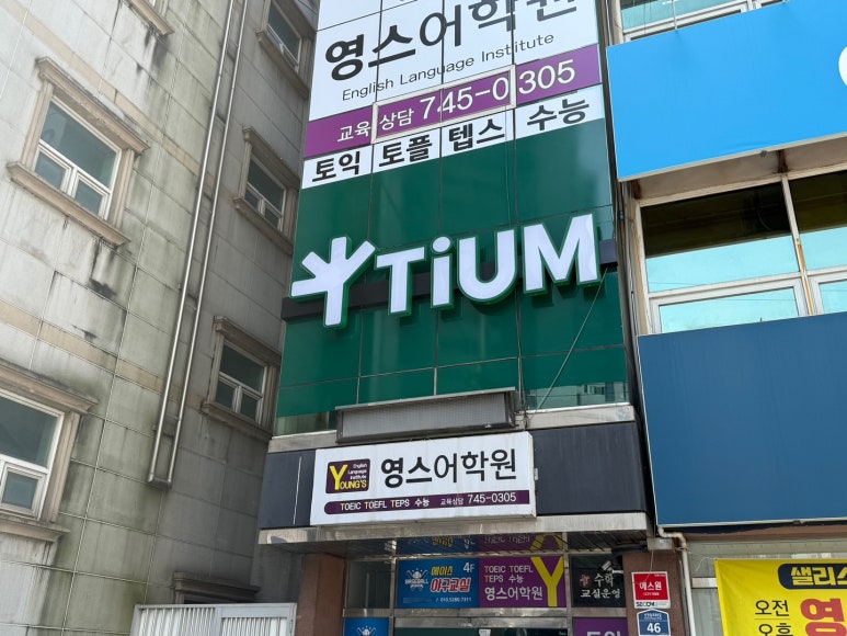 티움스터디 이미지