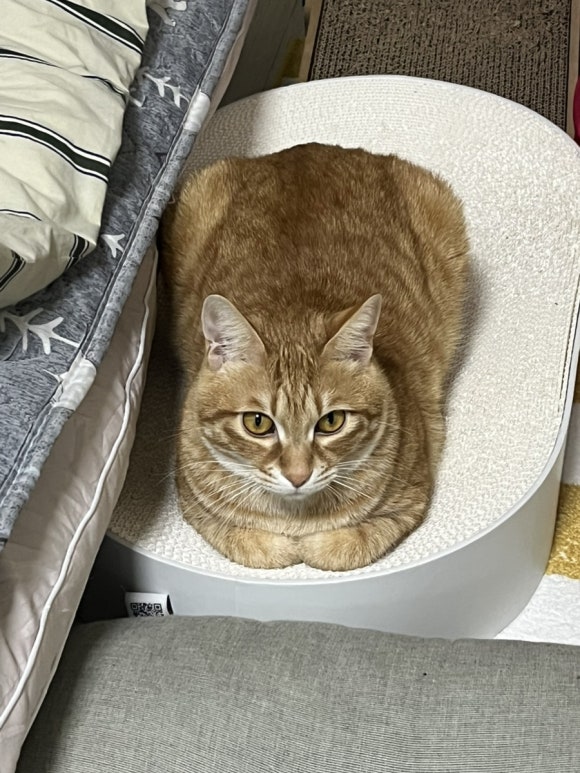 옥돌촌 이미지