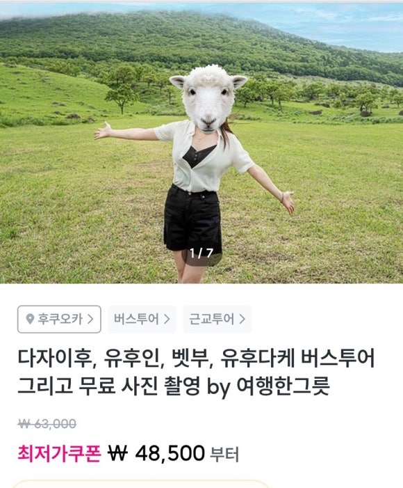 태일코스 이미지
