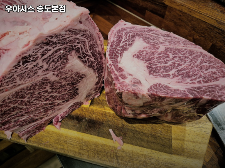우아시스 이미지