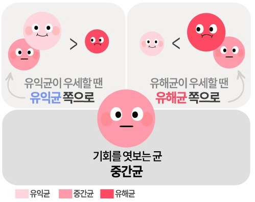 이엠팜 이미지