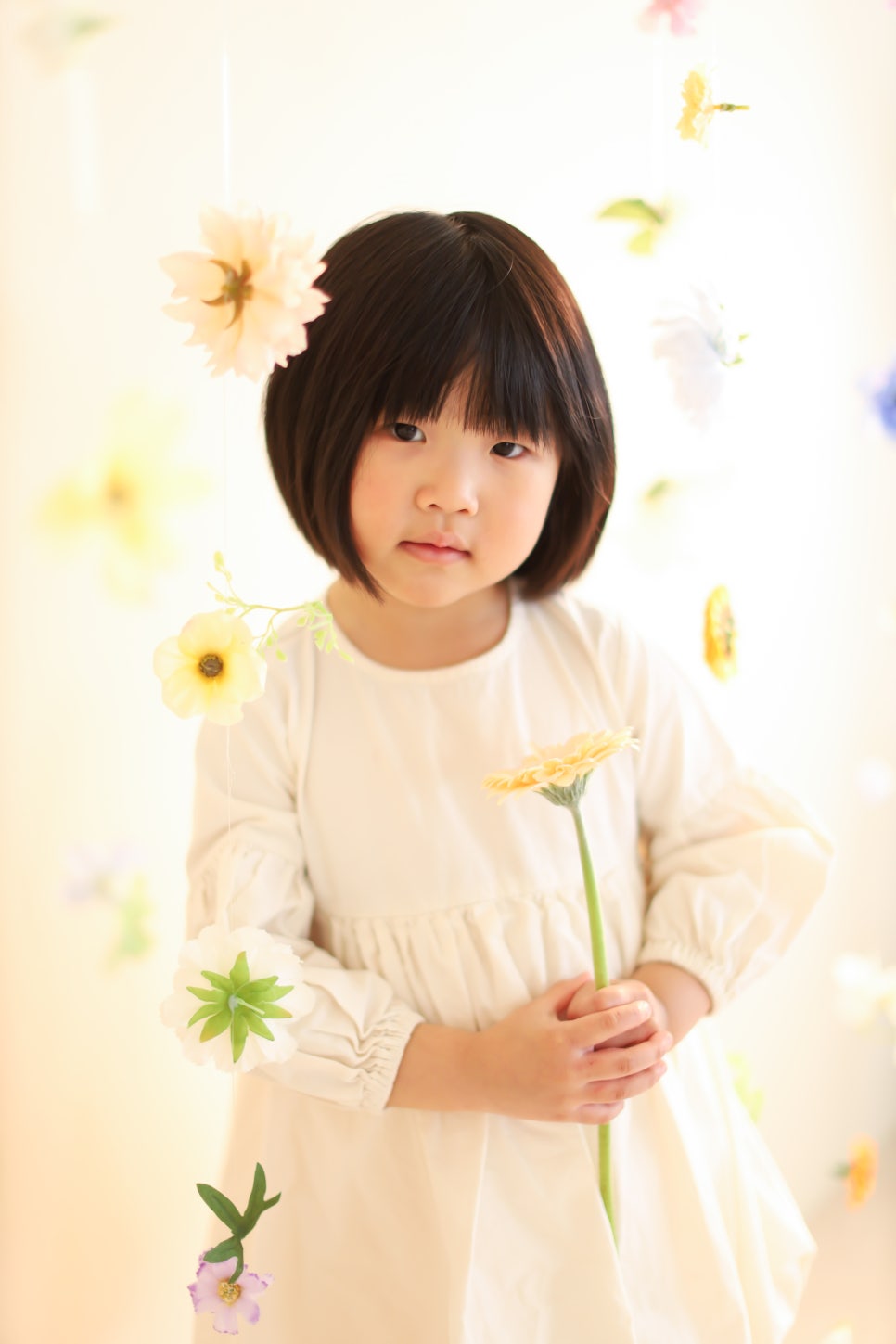 로이레스튜디오 이미지