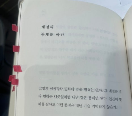태재 이미지
