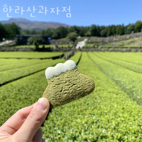 버터과자점 이미지