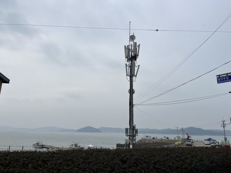 선창감태칼국수 이미지