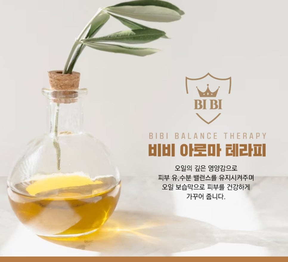 비비바디밸런스 이미지