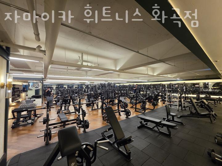자마이카 휘트니스 이미지