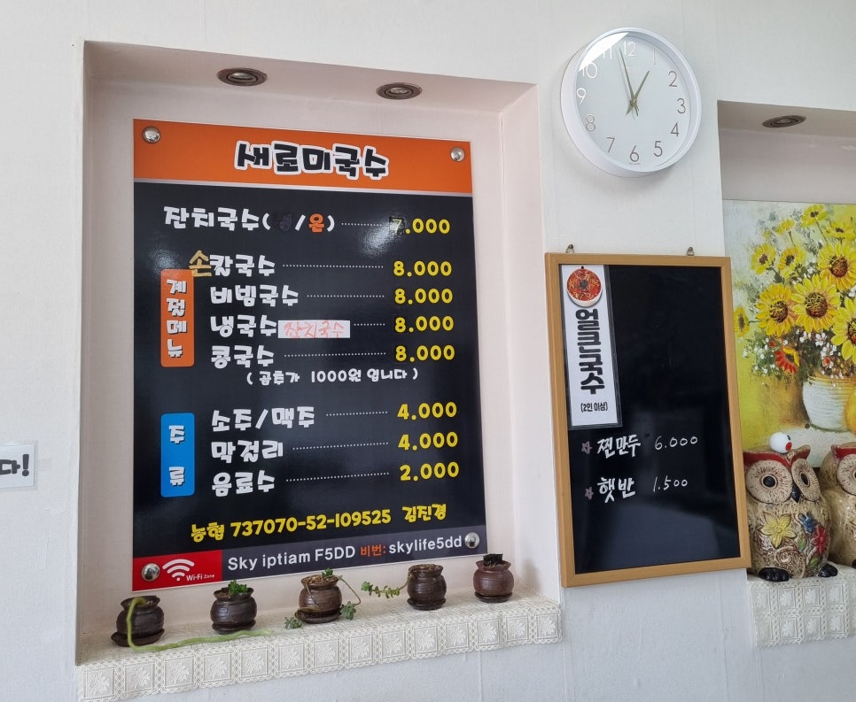 새로미국수 이미지