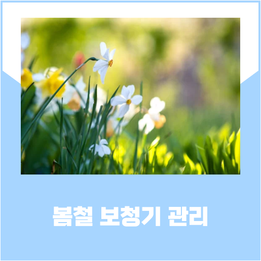 조연이비인후과병원 이미지