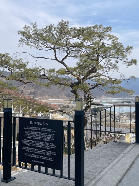 엘스토리365 이미지
