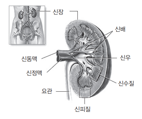 정연재 이미지