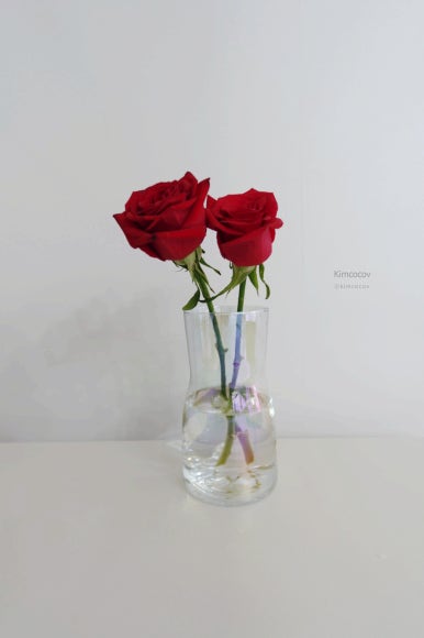 다미그린 이미지