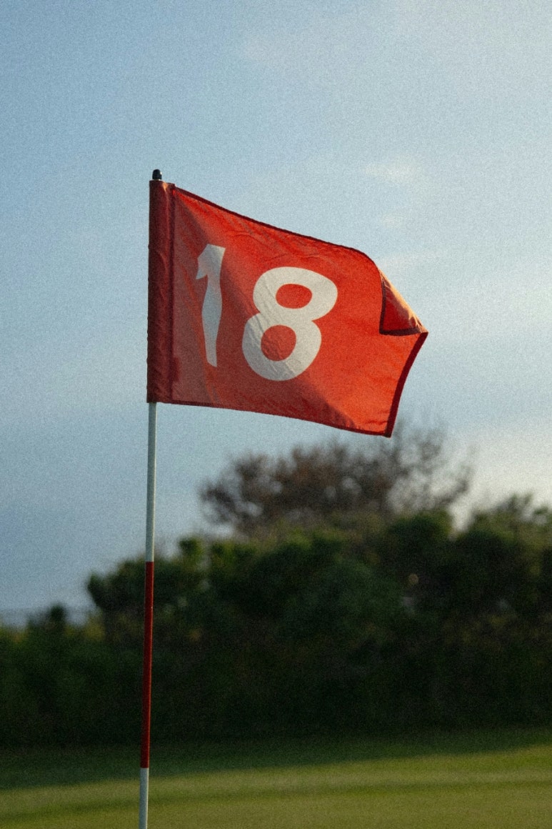 18골프 이미지