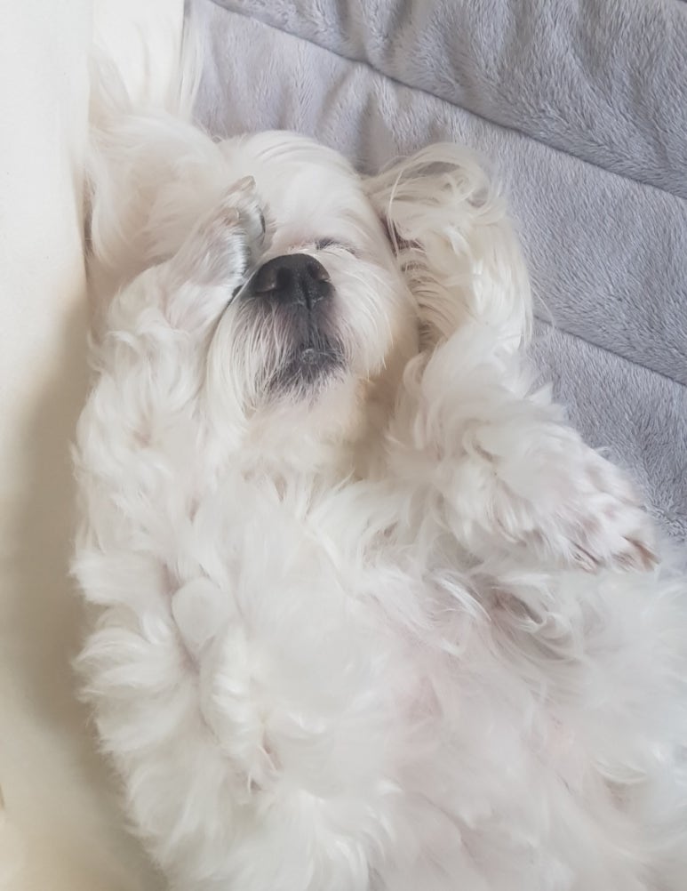 잘자 이미지