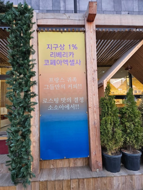 소소아 이미지