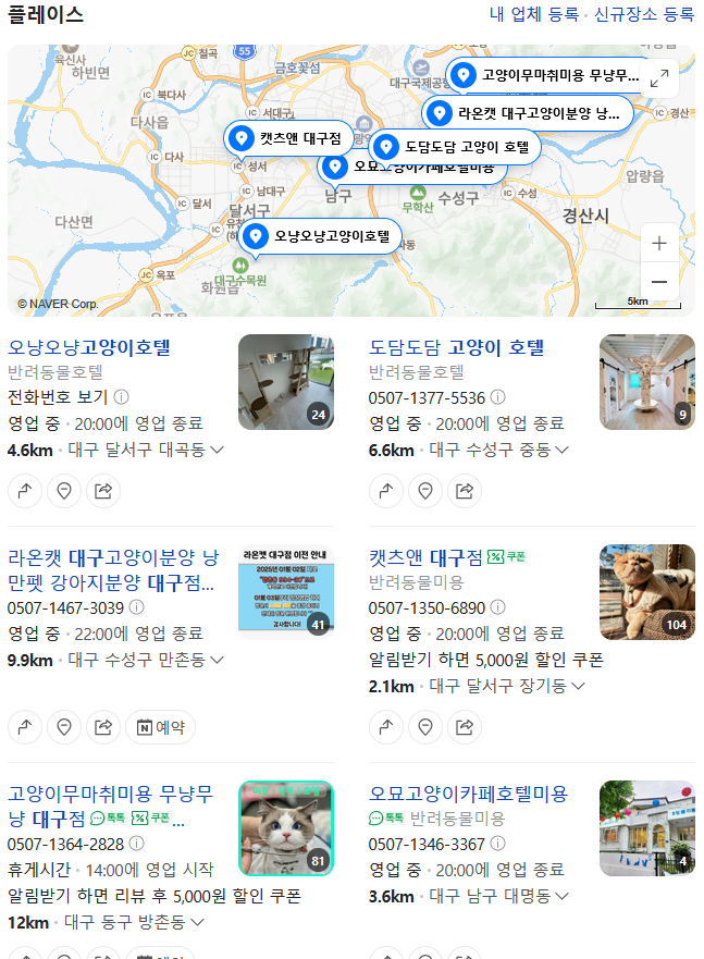 대구 고양이 호텔 오냥오냥 24시간 상주 관리