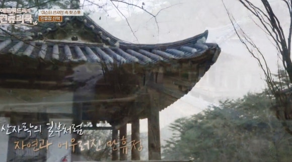 리메주 이미지