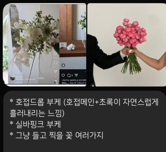 포엠플레르 이미지