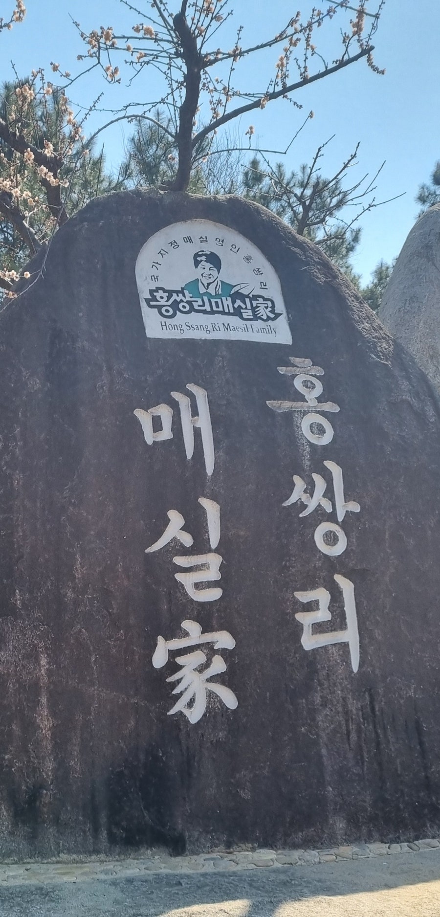 인천로열투어 이미지