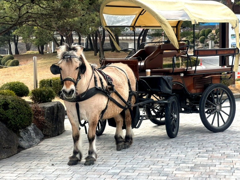 도담삼봉 관광안내소 이미지