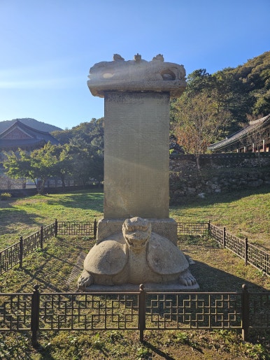 티로드 이미지