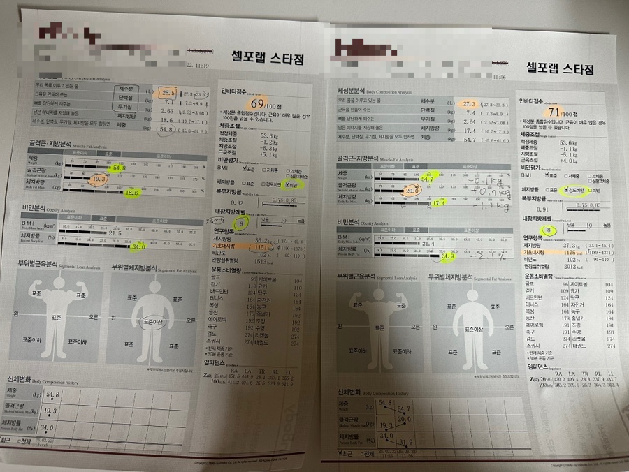 셀포랩스타 이미지
