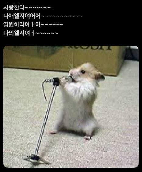 딱스 이미지