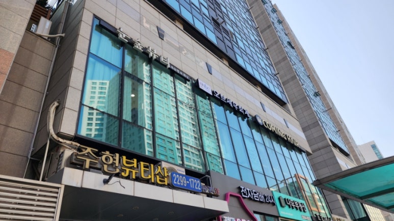 눈숲 이미지