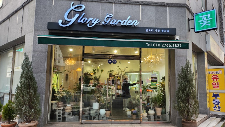 글로리가든플라워 이미지